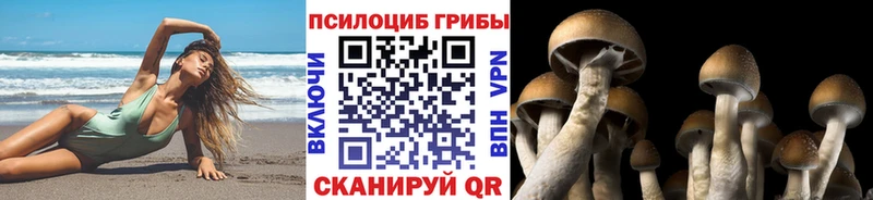 MEGA tor  Маркс  маркетплейс клад  Псилоцибиновые грибы прущие грибы 